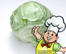 圆白菜