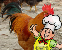 公鸡的做法