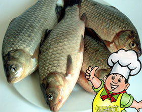 鲫鱼的做法