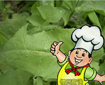 苣荬菜(尖叶)的做法