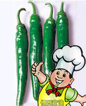 辣椒(青、尖)
