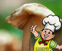 蘑菇(鲜蘑)的做法