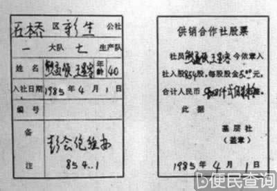 河南农村出现股份制合作模式