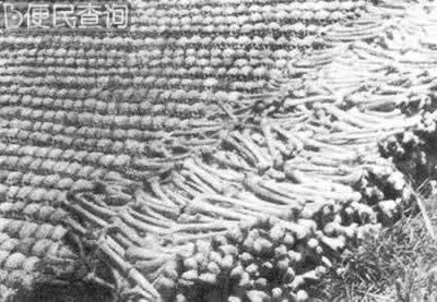 日军攻陷衡阳，在衡阳烧杀淫掠