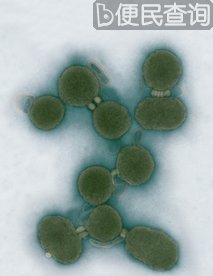 世界首例“人造生命”在美国诞生