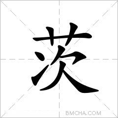 茨