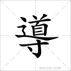 導