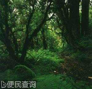 我国科学家确认雅鲁藏布江大峡谷世界最深