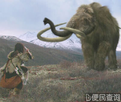 冷冻精子复活猛犸