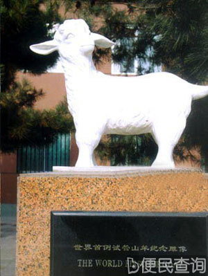 世界上第一只试管羔羊诞生