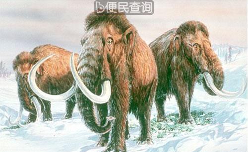 冷冻精子复活猛犸