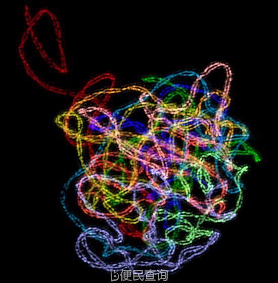 最佳年度生物显微照片，水蚤微观照居首