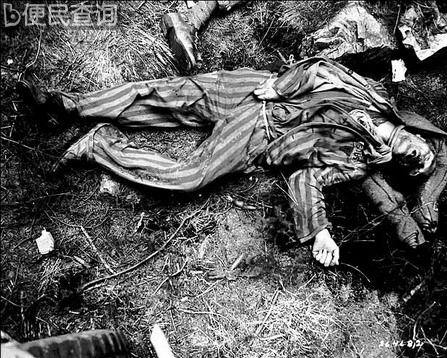 在二战结束的最后几天，纳粹份子在撤军过程中将集中营的一名被关押者杀害。这名受害者名为雅各布&middot;雷哈德(集中营编号：60653)。