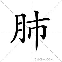 肺