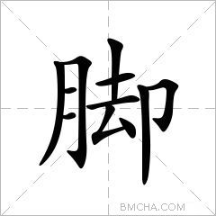 脚