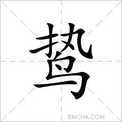鸷