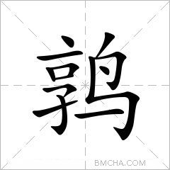 鹑