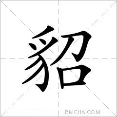 貂