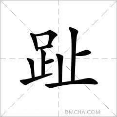 趾