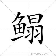 鳎