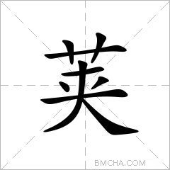 荚